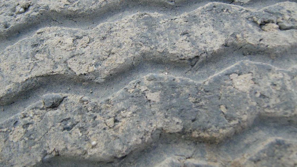 445/65.R-22,5 KUMHO