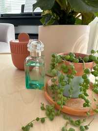 Hermes Un Jardin Sur Le Nil Perfume 50 ml