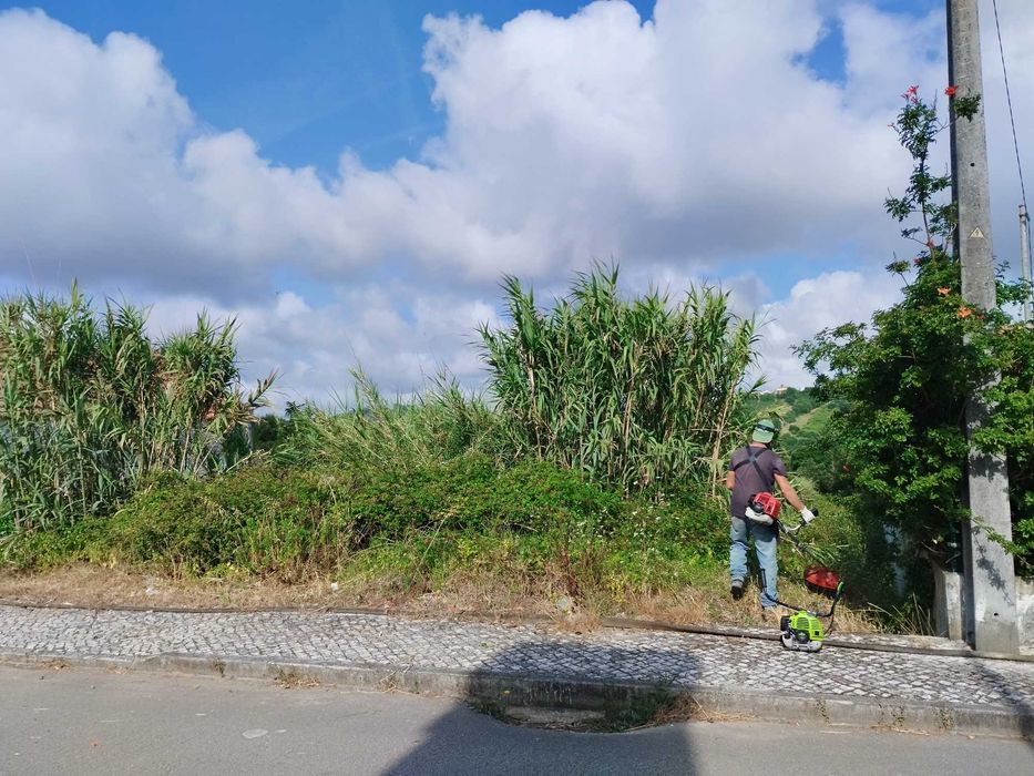 Serviços agro-florestais