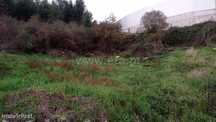 Terreno para construção com 10.000 m2 em Fafe