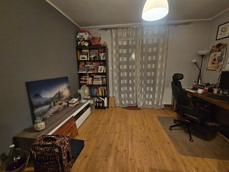 mieszkanie do wynajęcia