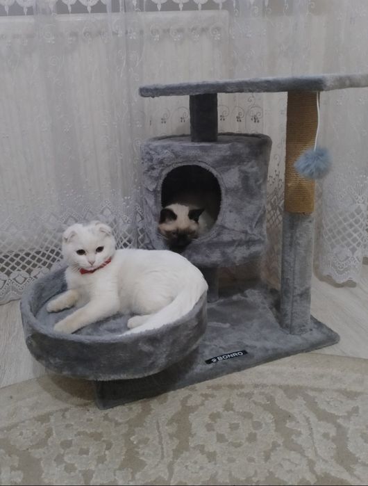 Домик кіхтидерочка для котиків