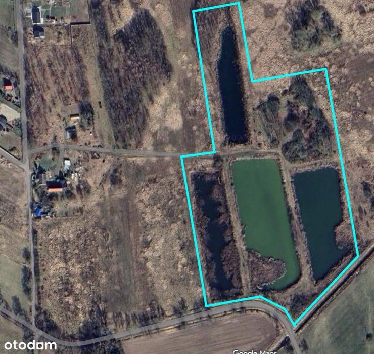 Zarybione stawy rybne – ok. 5 ha, Nowy Lubusz (gmina Słubice)