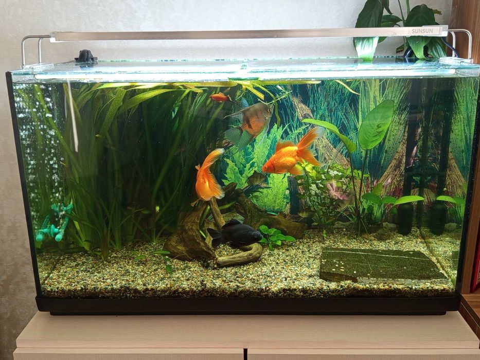 Комплектний акваріум 120л.