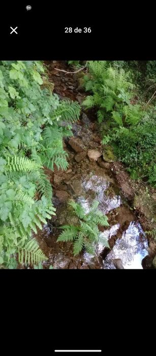 Casa no rio em terreno rústico