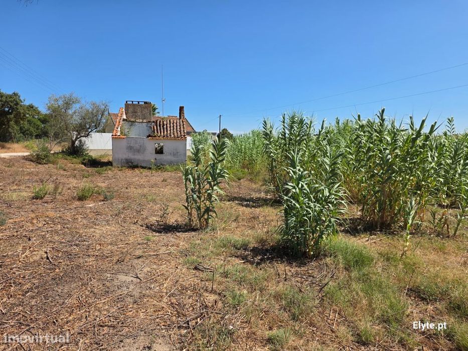 Moradia com terreno Urbano na Branca