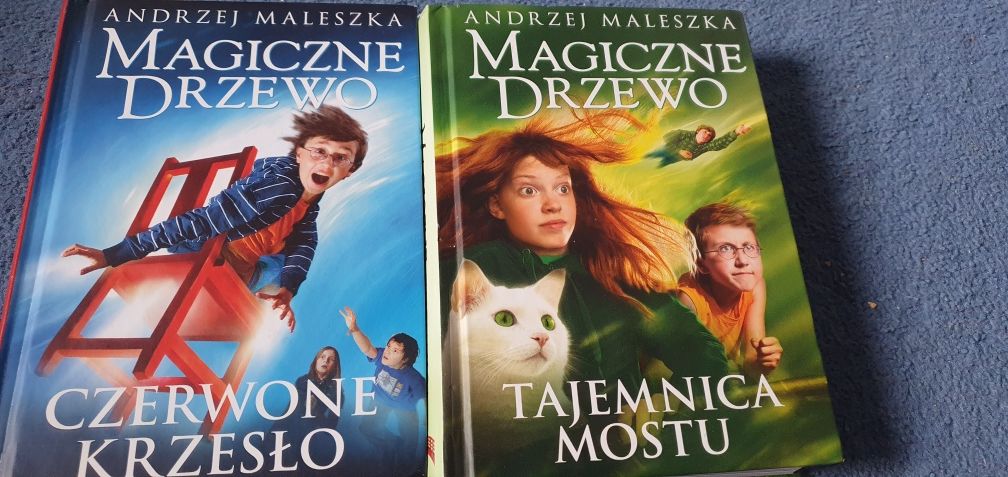 Magiczne drzewo czerwone krzesło, tajemnica mostu