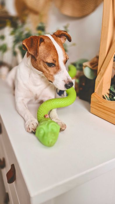 Wąż szarpak na smakołyki 42cm zielony PSIEBAMBETLE