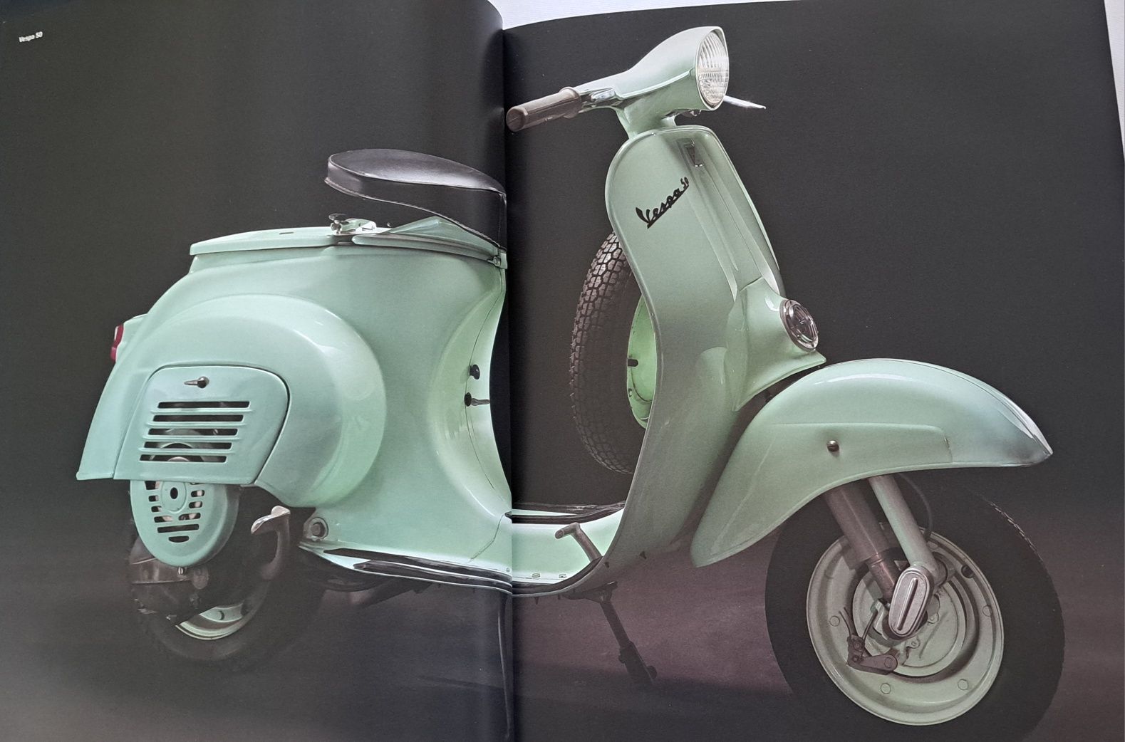 Livro a vespa ilustrado