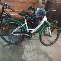 Rower Pegasus zielono-biało-różowo 26 cali