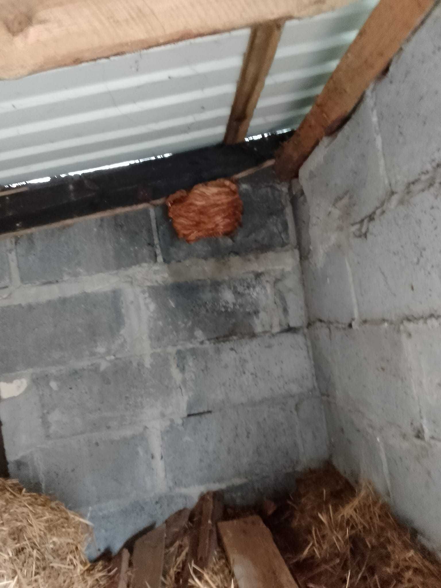 Dezynfekcja Dezynsekcja Deratyzacja Ozonowanie ZZ insektoff