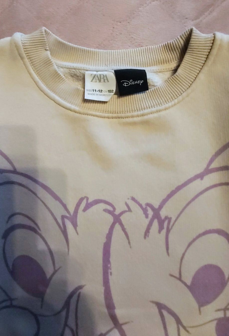 Zara sweater Disney estampada com esquilos