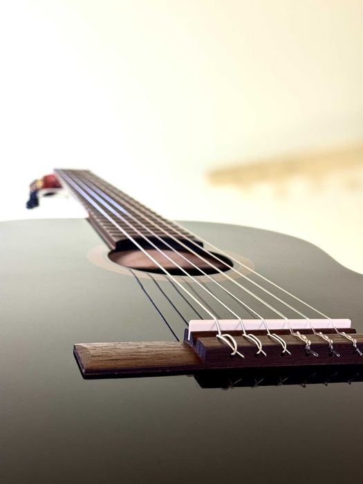 Ortega RELPA (ELPA) Gitara Klasyczna 4/4