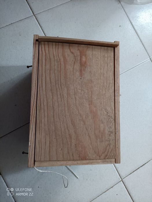 Caixa de ninho para caturras