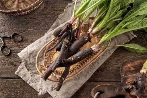 Maść z Żywokostu. Naturalna na Gęsim smalcu. Mocna i skuteczna, 190 ml