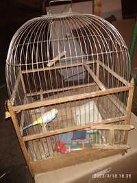Клітка для попугая