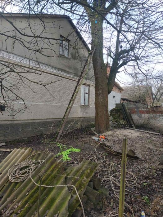 Обрізання зрізання обрізка дерев зріз зрізка спил валка Сокаль