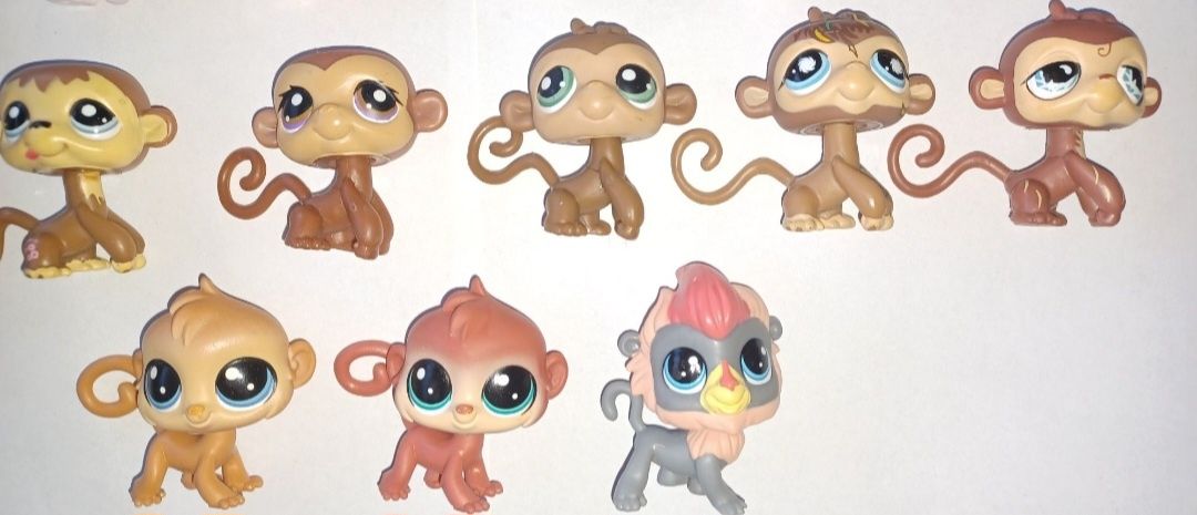 Małpka littlest pet shop