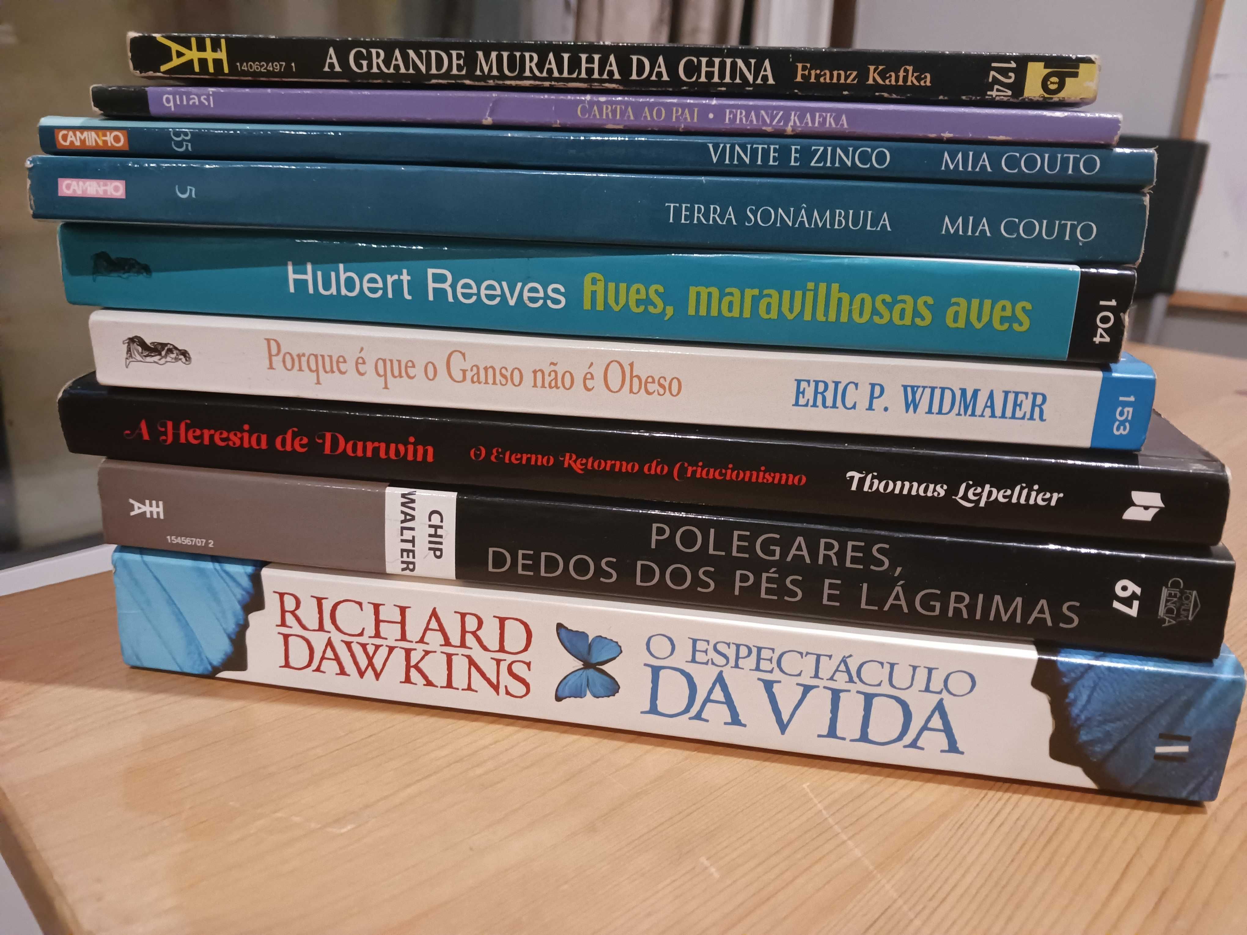 Livros vários (IV)