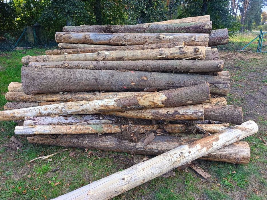 Drewno opałowe iglaste- świerk.