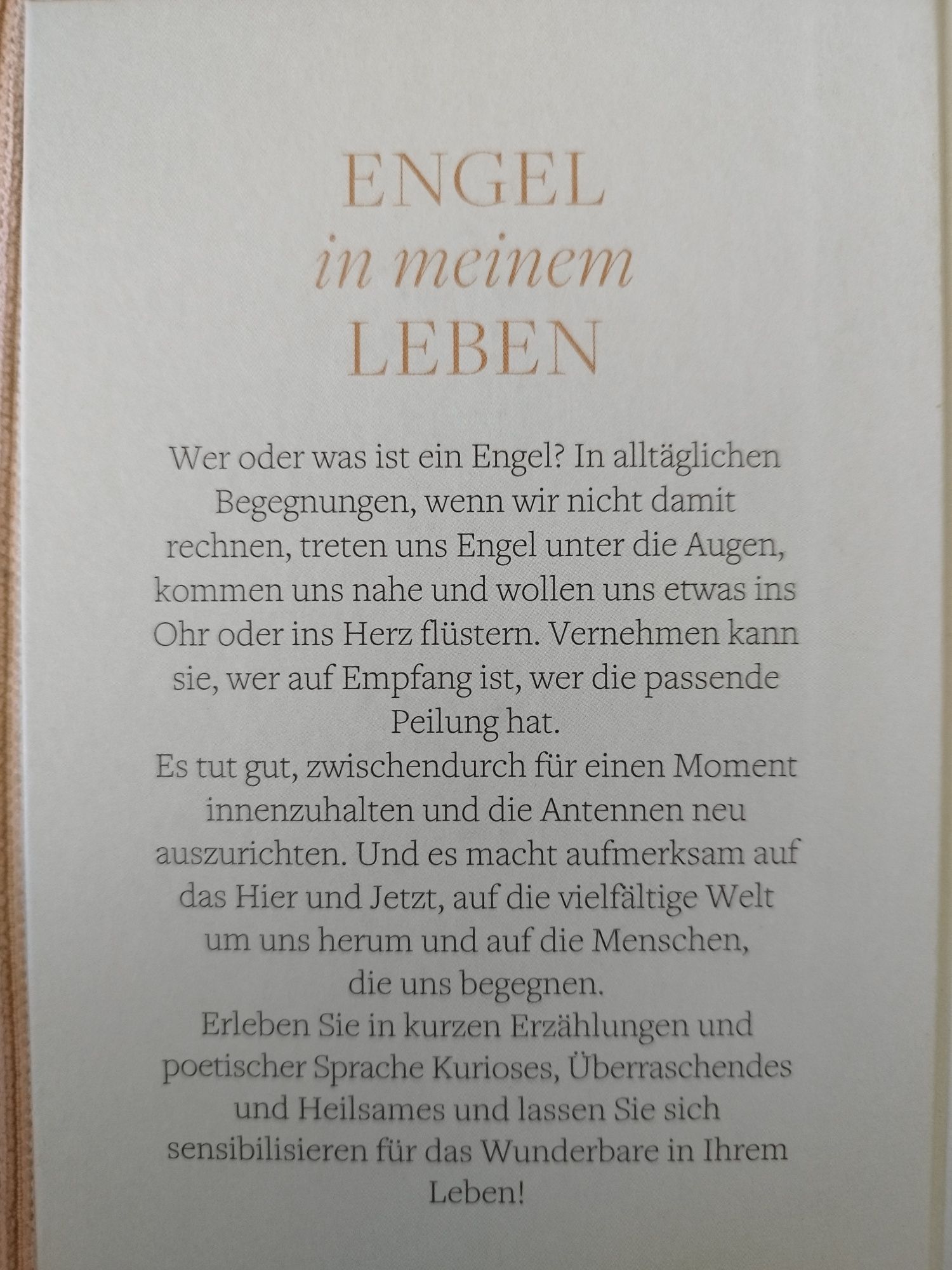 Książka po niemiecku Pause mit Engel Hildegard König