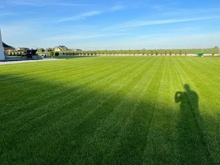 zakładania trawnika