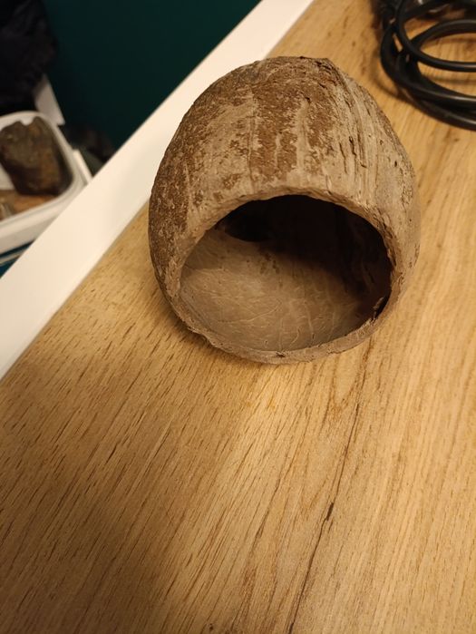 Zamek dla rybek ,kokos