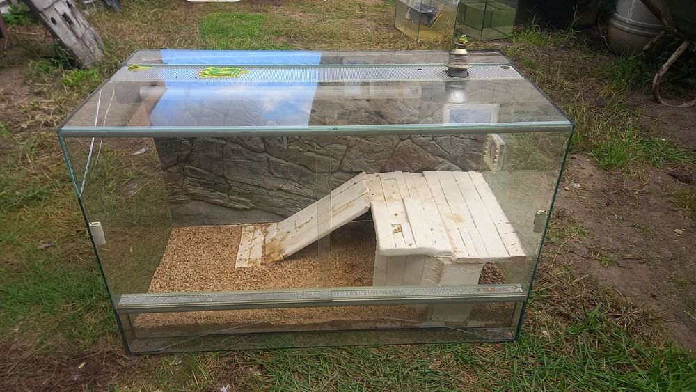Terrarium dla jaszczurki gryzonia pająka węża chomika myszki