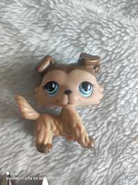 Brązowy colli figurka littlest pet Shop