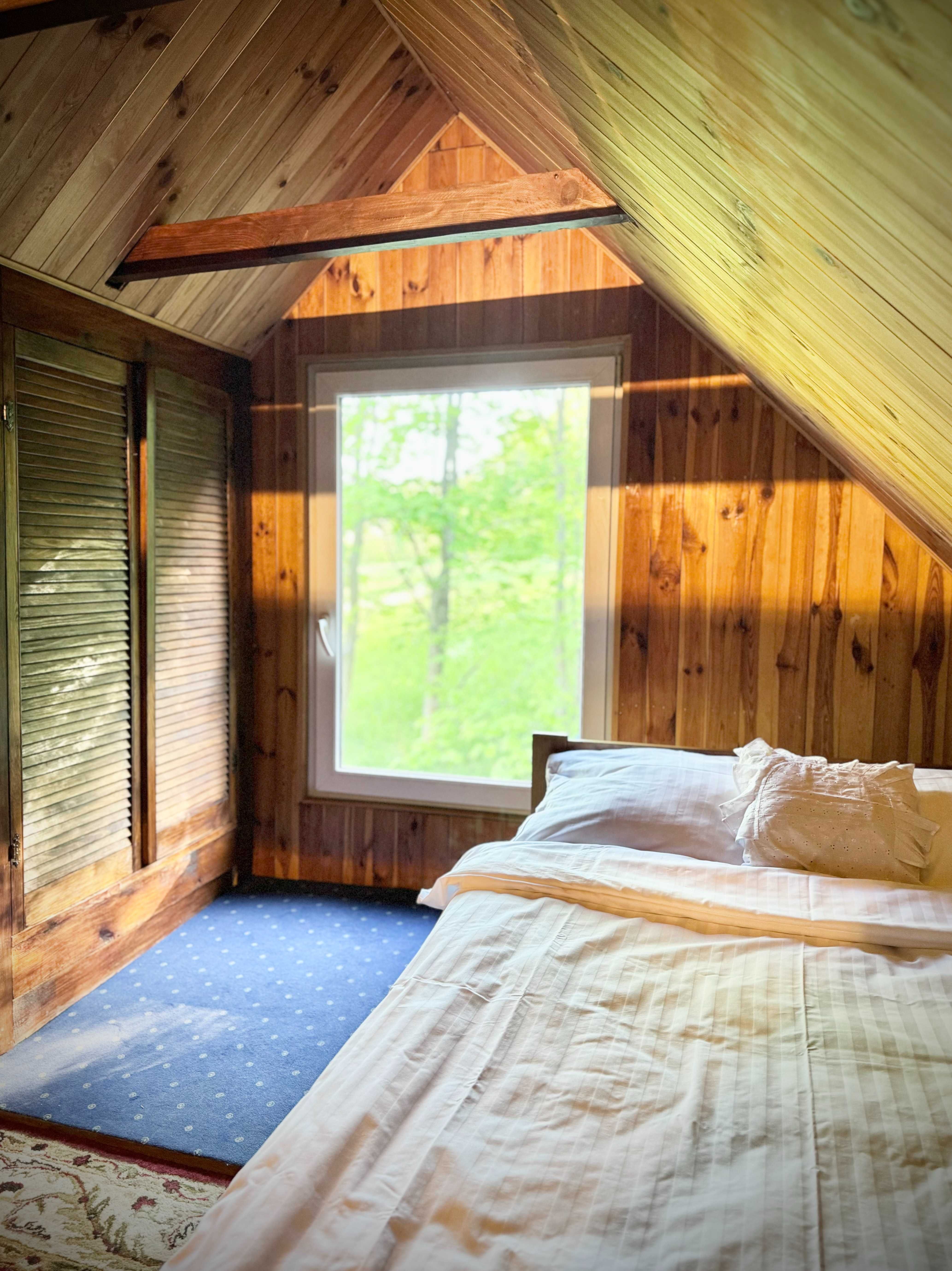 domek nad jeziorem w lesie, cisza, urlop. sauna, łowisko, grzyby,