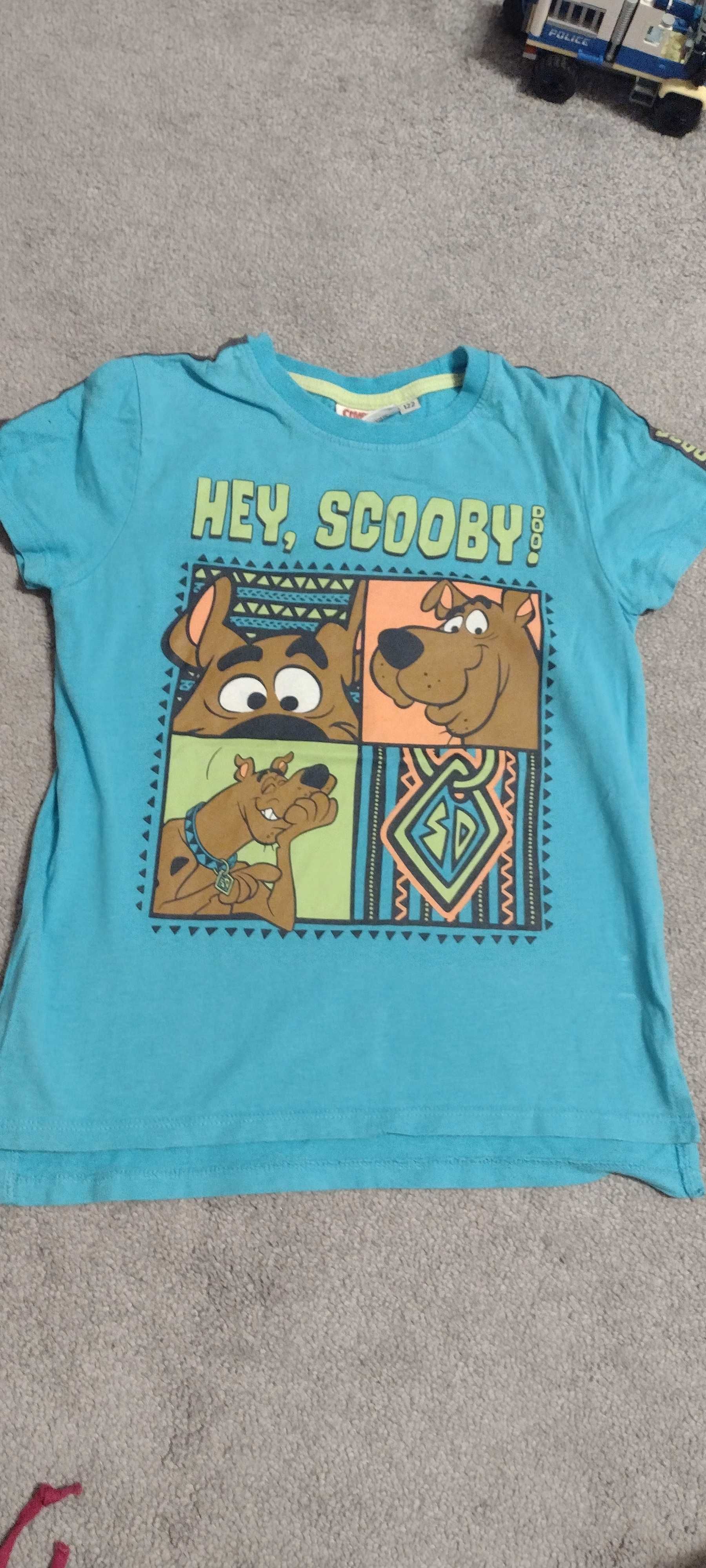 Koszulka Disney Scooby Doo 116