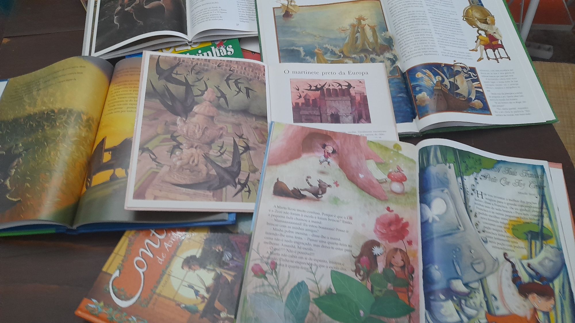 Lote 16 Livros infantis