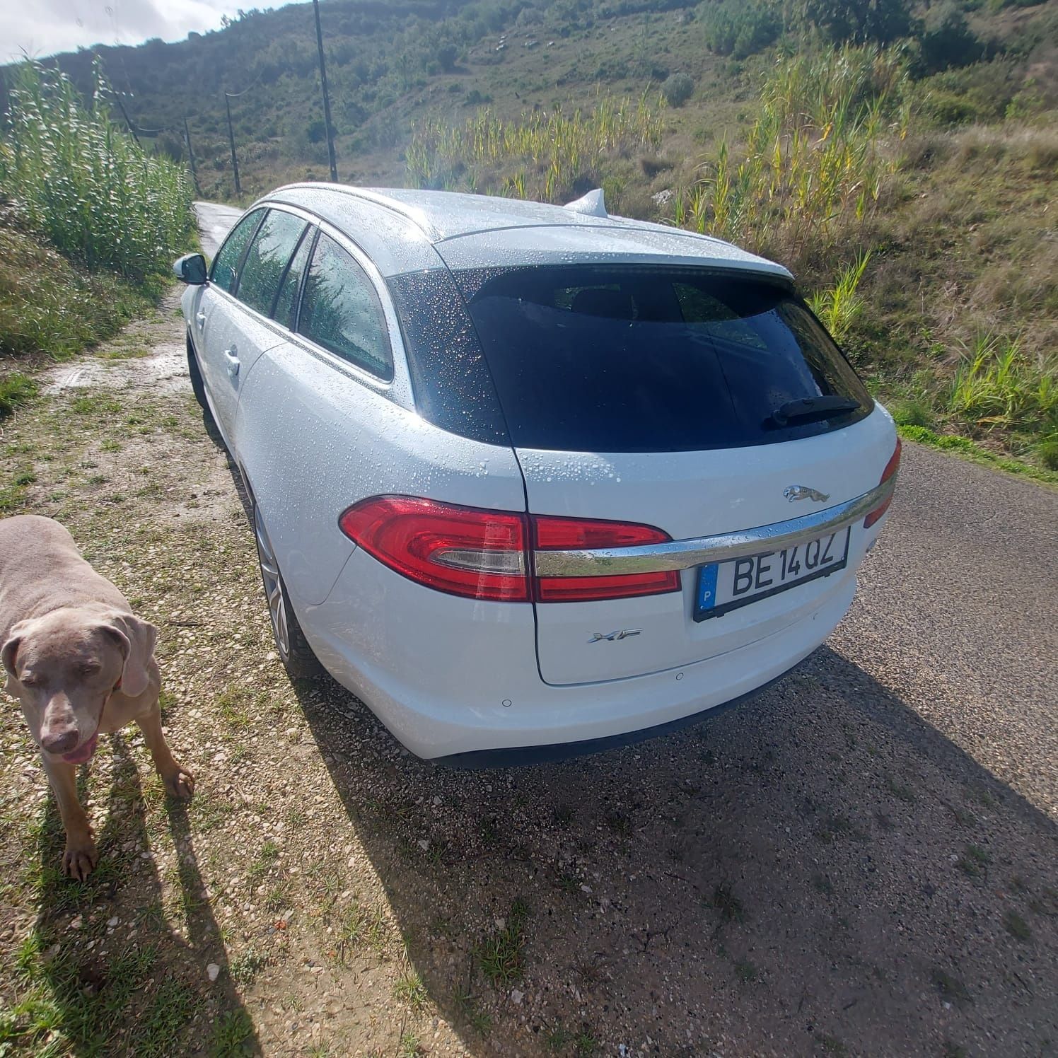 Jaguar XF r sport sportbreak