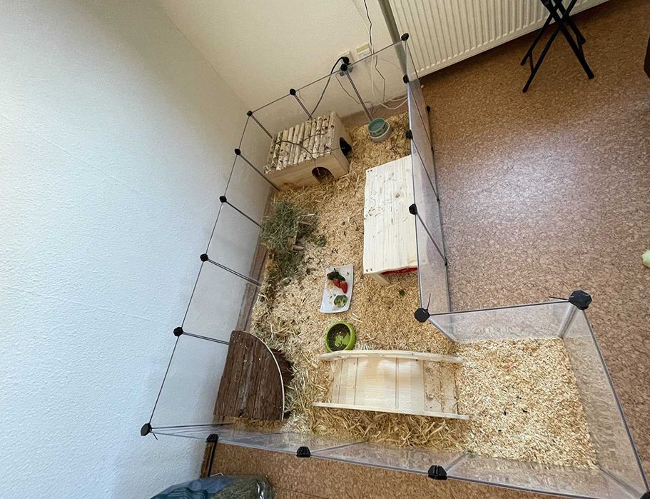 Wybieg NOWA Klatka Kojec dla KRÓLIKA Świnki Chomika Modułowa z Podłogą