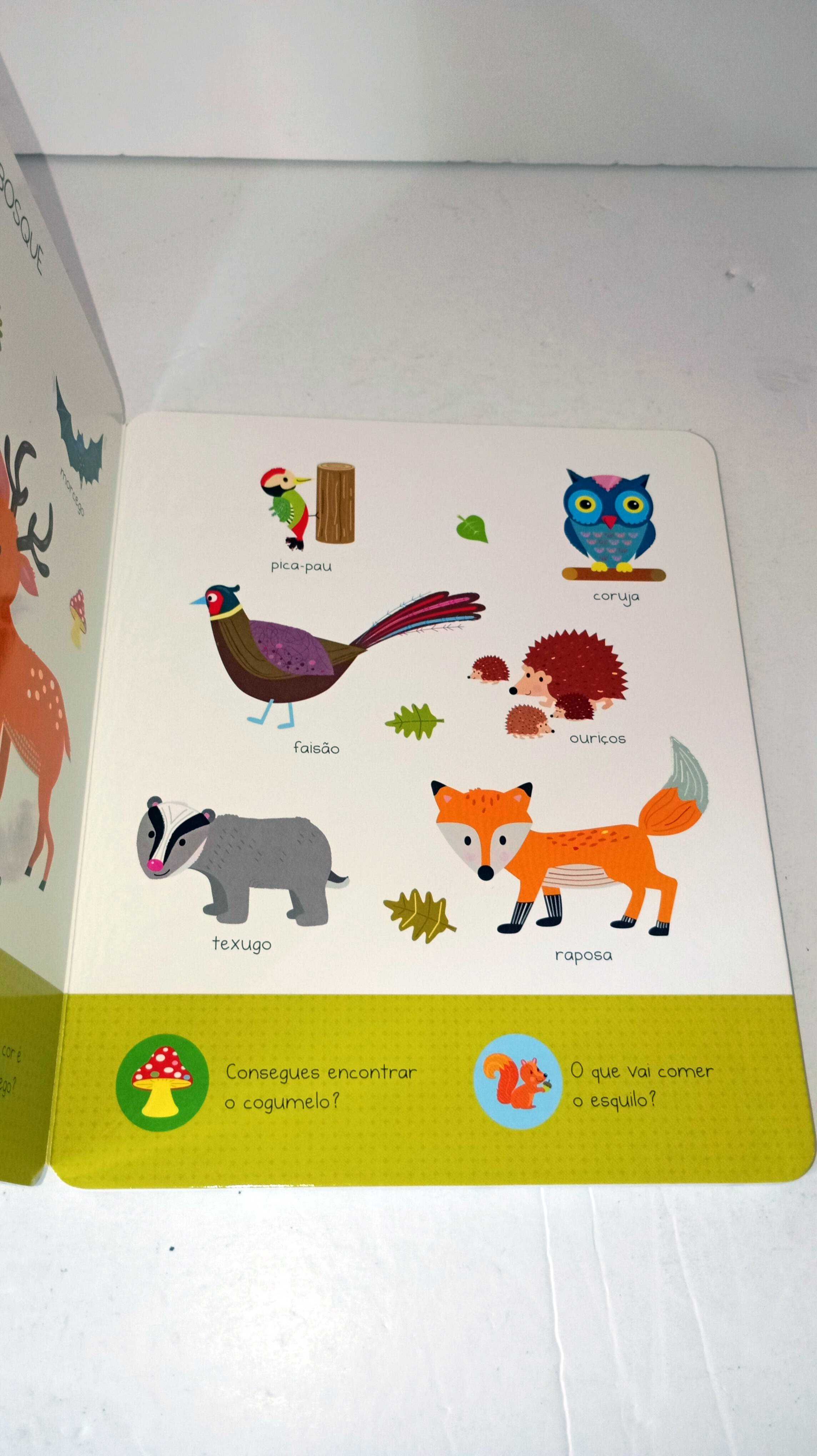 À Descoberta dos Animais