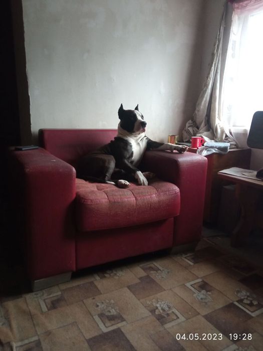 Стафф шукає дівчинку для короткочасних стосунків