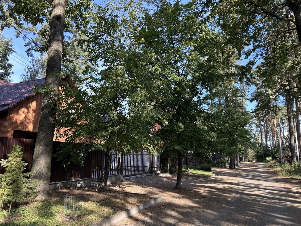 6 соток в Лісовій Бучі! Вул Тургенєва