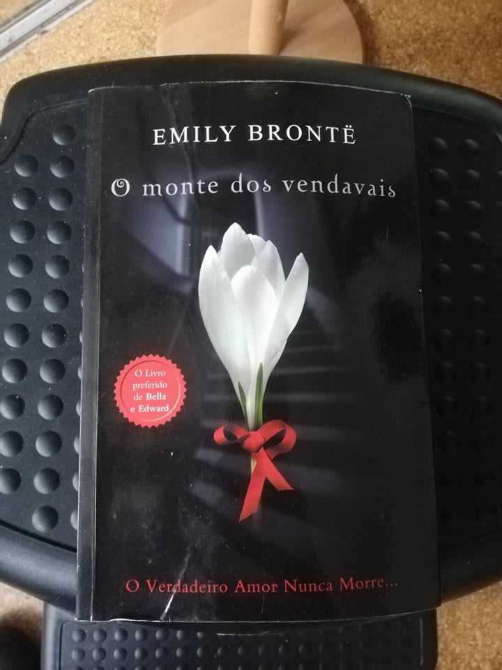 "O Monte dos Vendavais" / Wuthering Heights de Emily Brontë