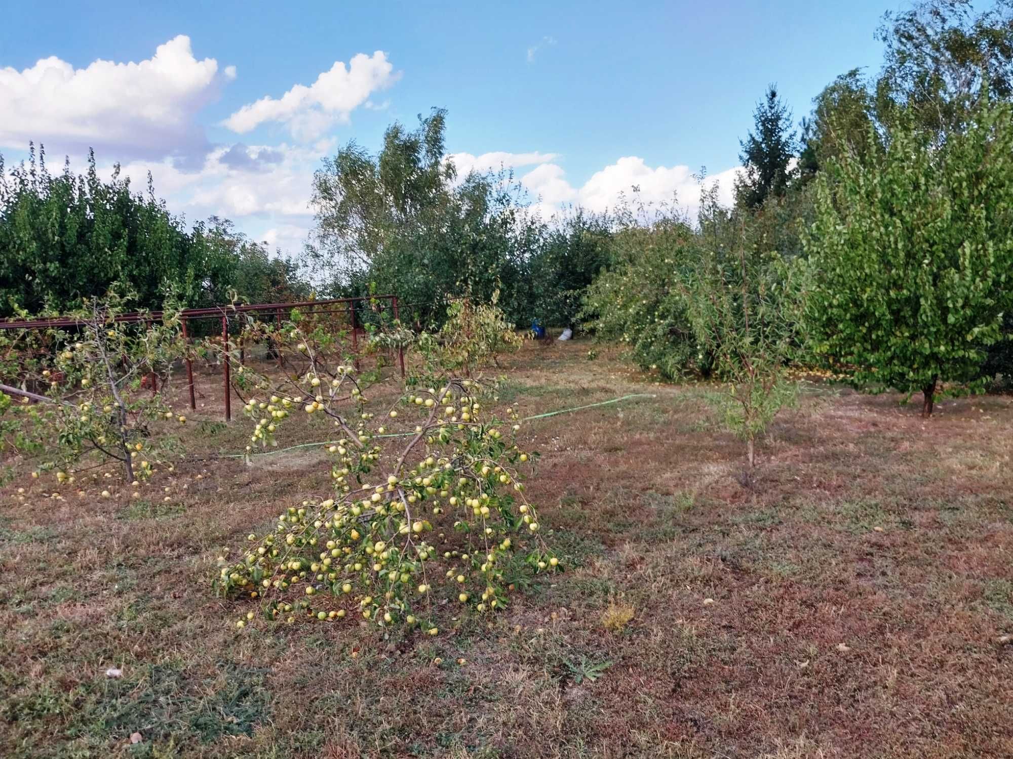 Будинок у тихому, затишному місці.