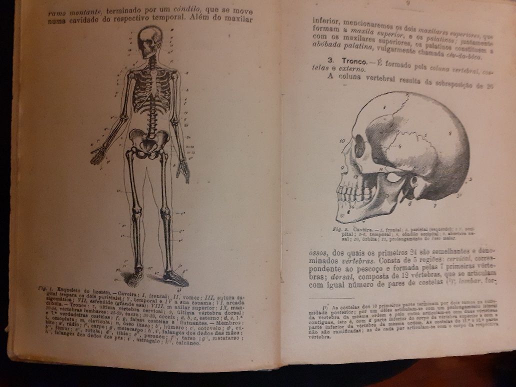 Livro antigo de Desenho  Livre de 1950 e livro de zoologia