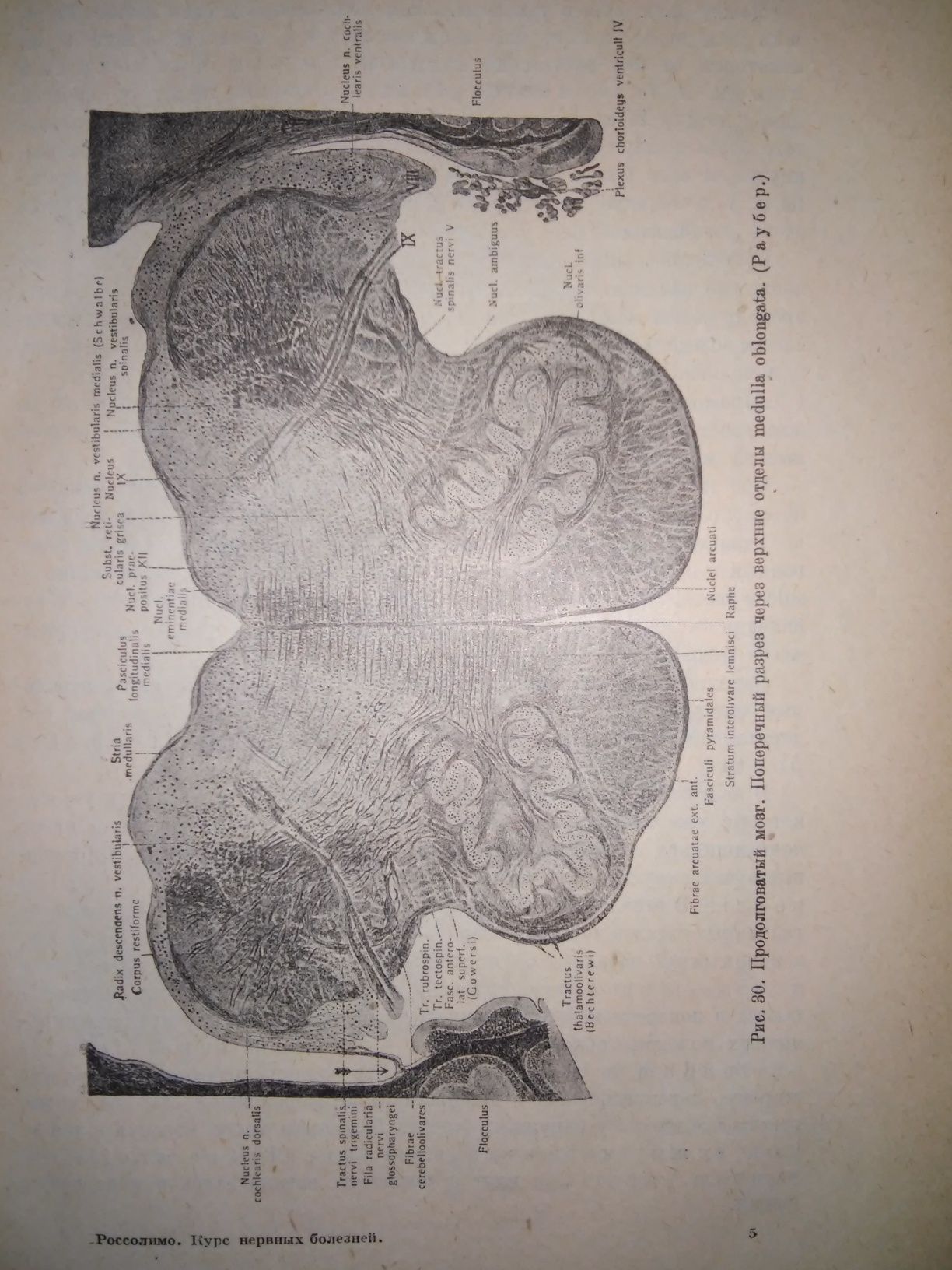 Россолимо Курс нервных болезней 3-е изд. 1930