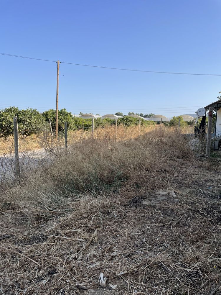 Limpezas de terrenos e jardins