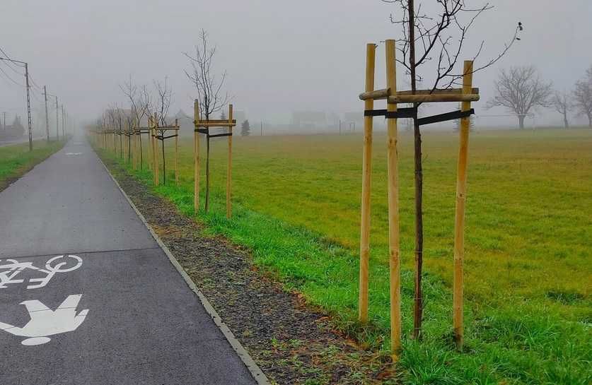 Słupek drąg palik wałek ogrodzeniowy 2,5 m transport w cenie