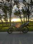 Mustang Fortuna 200