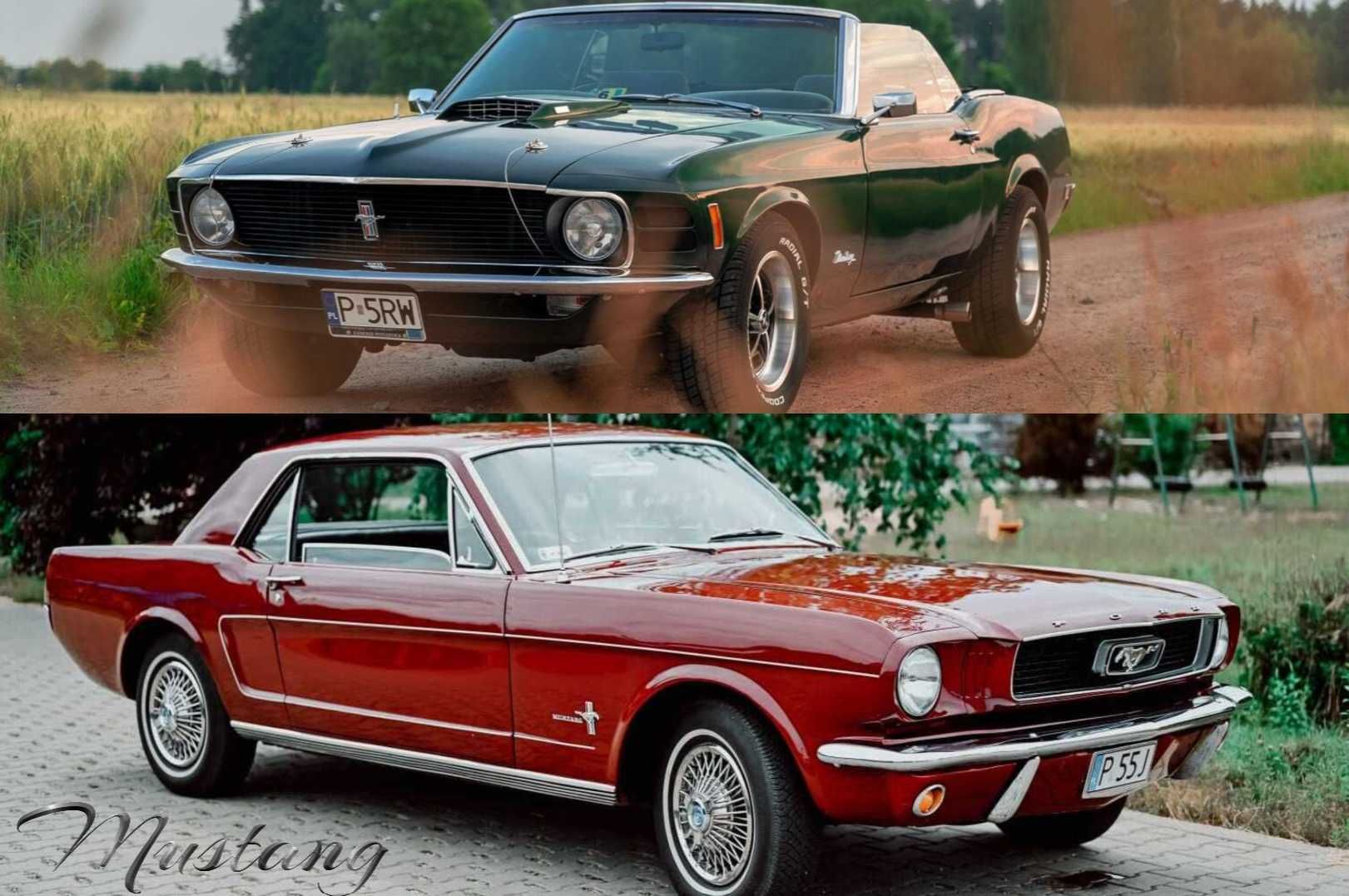Auto Auta do ślubu Mustang wesele klasyk wolne terminy 2025 r.