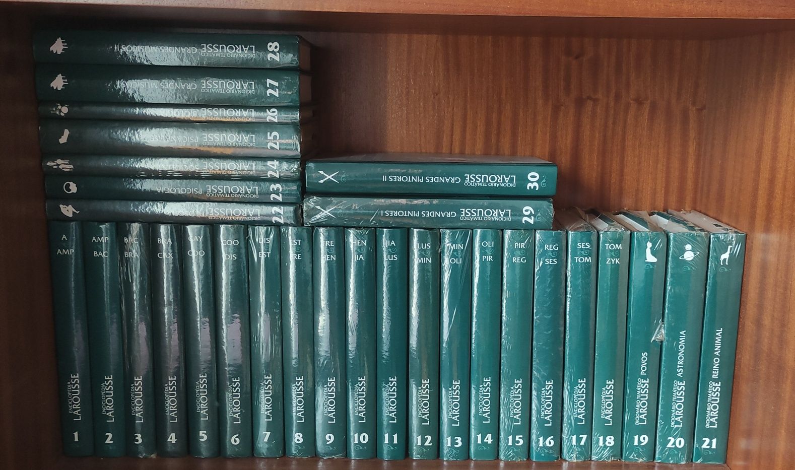 Enciclopédia LARROUSSE  Completa 30 Volumes