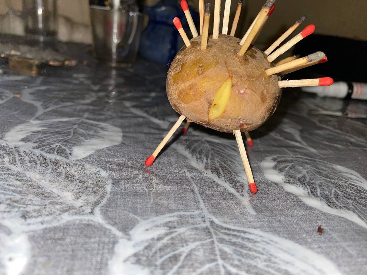 Угашеный ёбжык  од