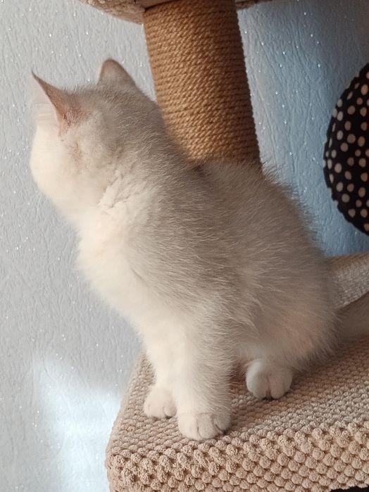 І буде Вам щастячко