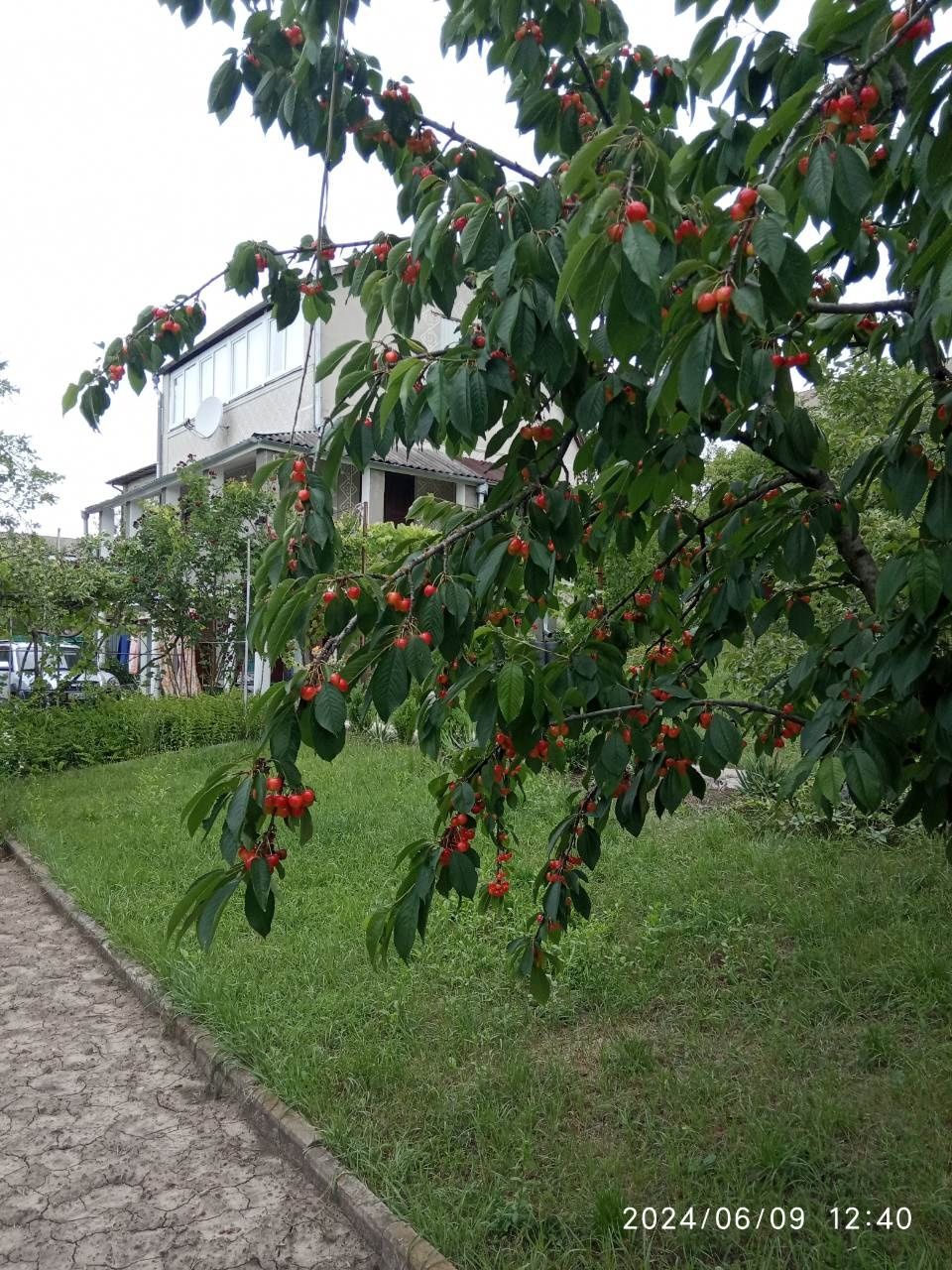 Продається дача в с.Устя