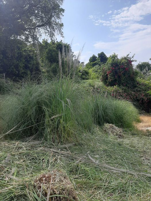 Limpeza de terrenos